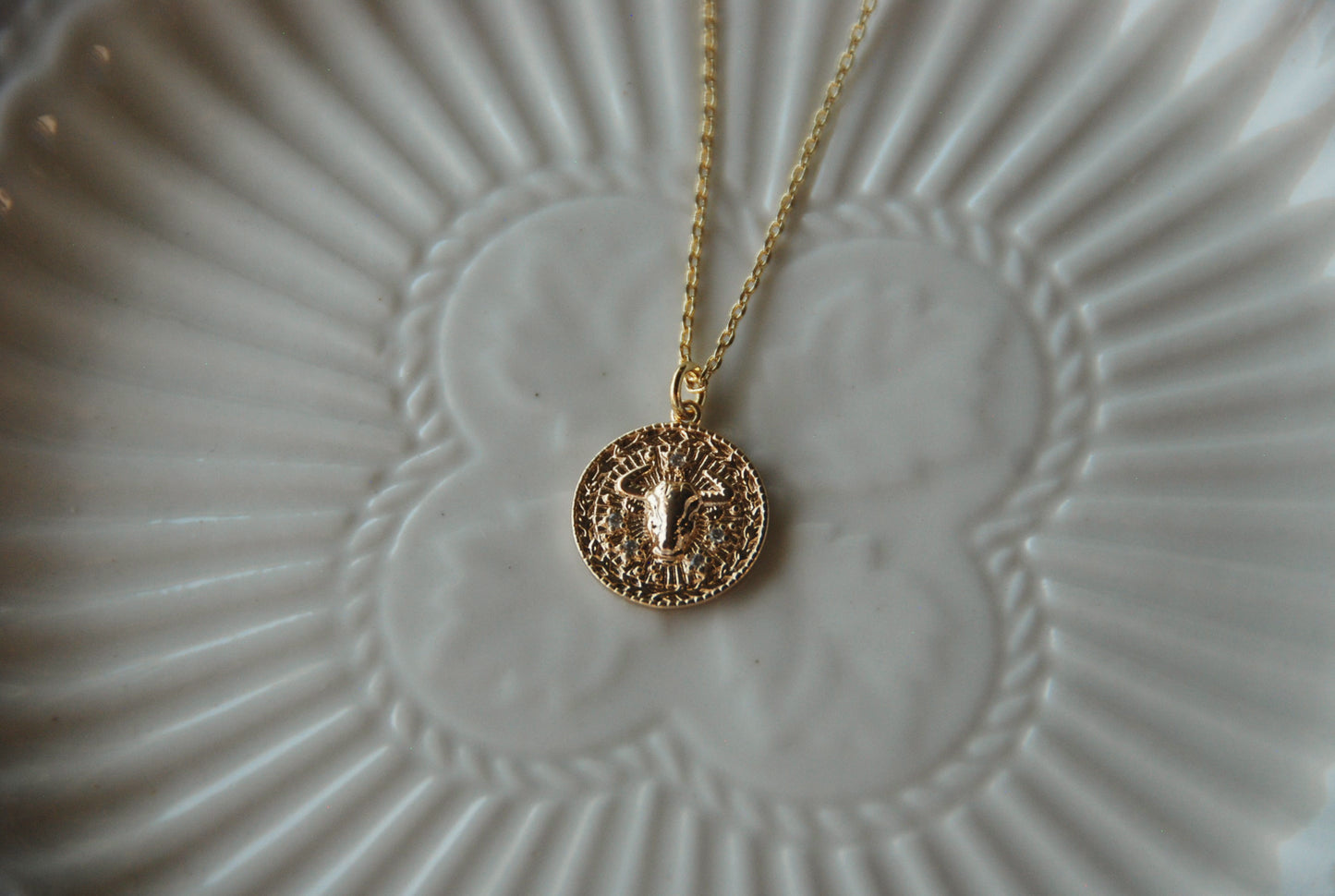 Collar Medalla Toro Circones