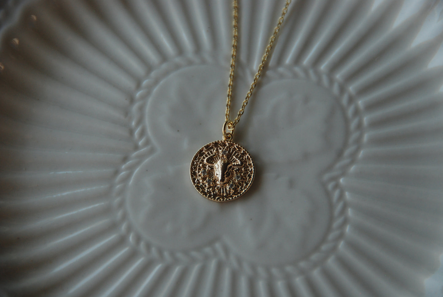 Collar Medalla Toro Circones