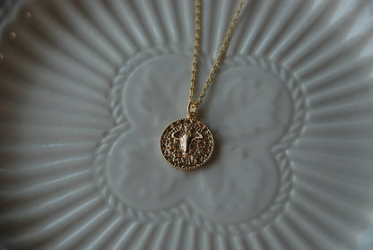 Collar Medalla Toro Circones