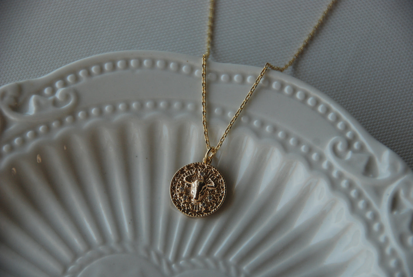 Collar Medalla Toro Circones